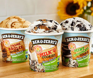 Ben & Jerry's Non Dairy pint distributor