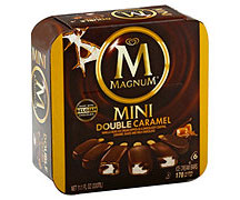 Magnum Mini Ice Cream Bar distributor