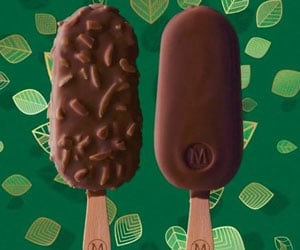 Magnum Plant Based Ice Cream distributor