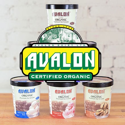 Organic Ice Cream by Avalon