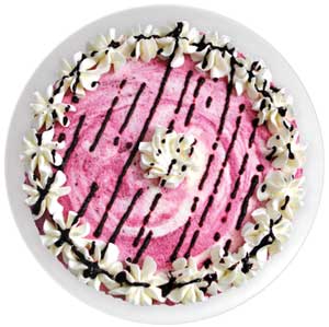 Sara's Black Raspberry Cheesecake Ice Cream Cake