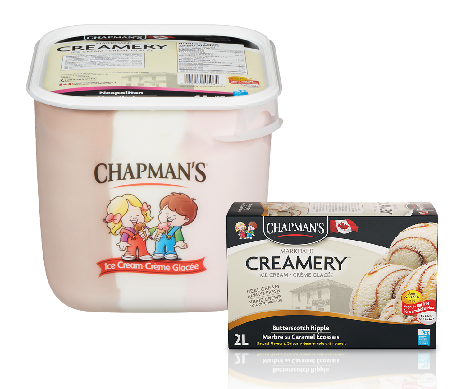 markdale creamery in 4L and 2L from chapmans original ice cream from wholesale distributor transcold distribution