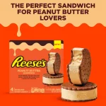 new reeses klondike ice cream sandwich from transcold distribution wholesale distributor