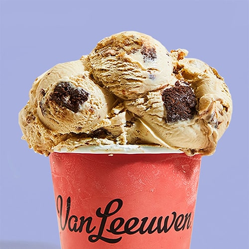 Van Leeuwen Brown Sugar Ice Cream